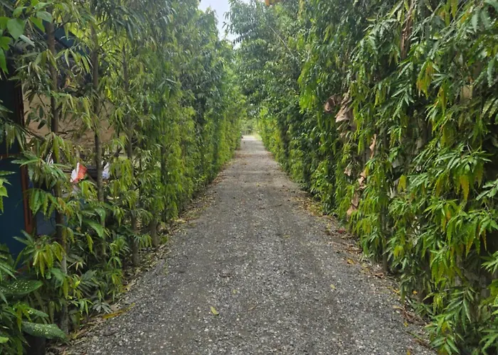 The At Acres Village - Cozy Nature In Campsite *